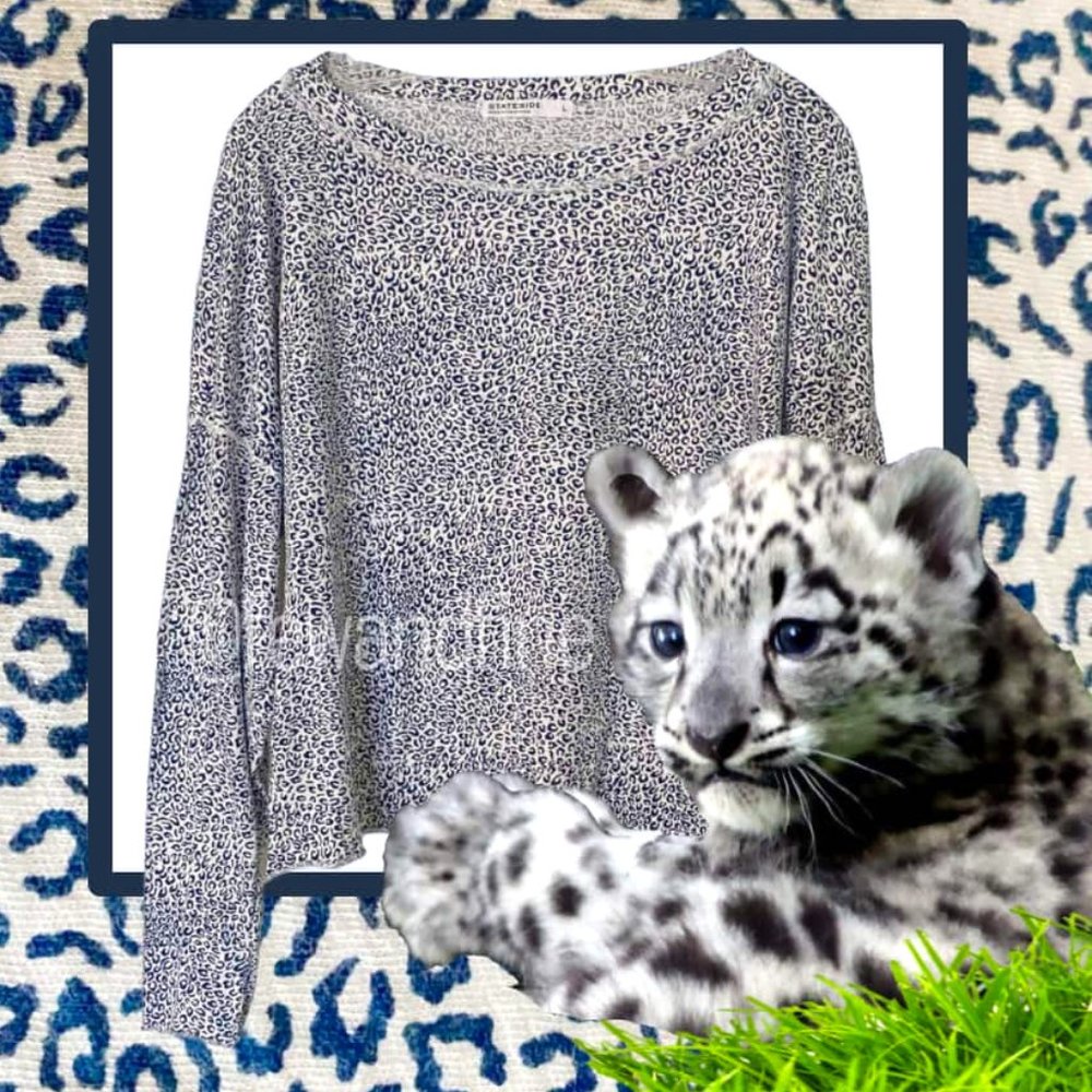 Stateside Boatneck Top Leopard